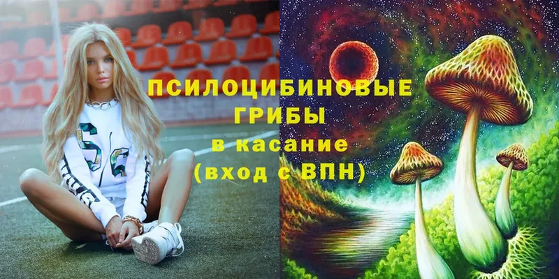 omg зеркало  Гороховец  Галлюциногенные грибы Cubensis 